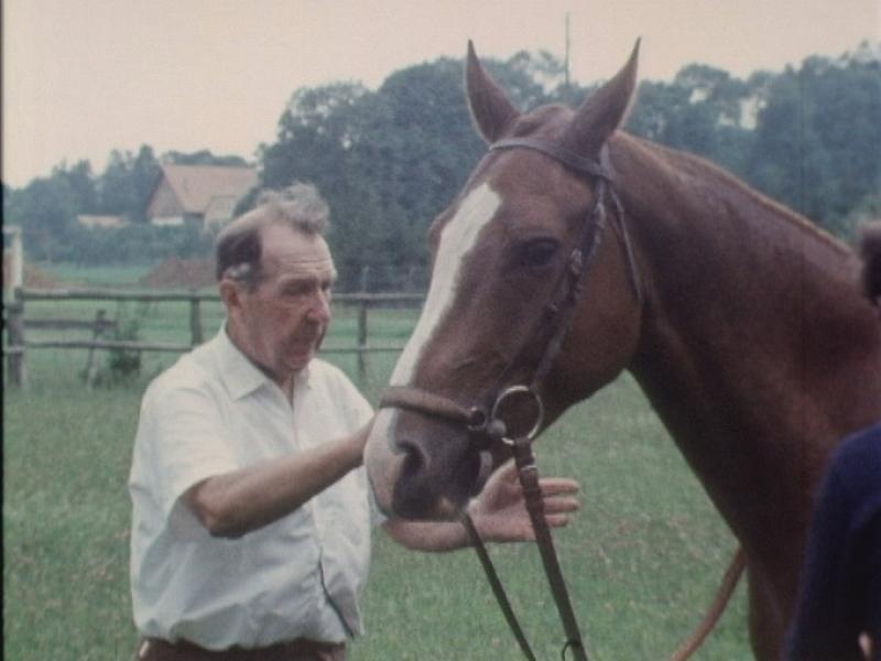 Un vétérinaire passionné de chevaux. [RTS]