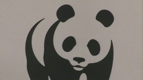 Le logo du WWF en 2008. [RTS]