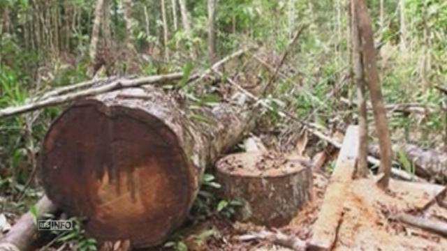 du bois illegal d amazonie vendu en suisse