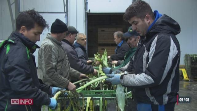 L'Union Suisse des Paysans propose d'employer des requérants d'asile dans l'agriculture