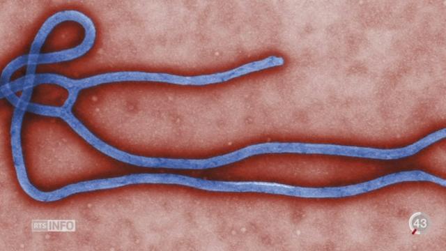Fièvre Ebola: le recours à des traitements expérimentaux semble avoir un effet bénéfique