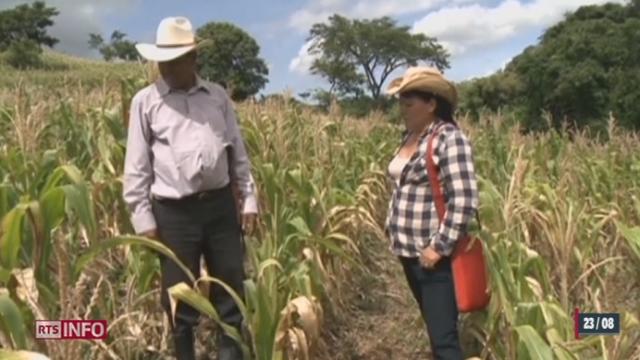 Le phénomène climatique "El Niño" est particulièrement violent en 2014