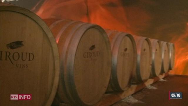 Dix-huit entreprises vinicoles ont été dénoncées aux autorités cantonales