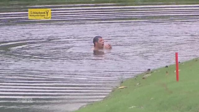Attaqué par des frelons, un golfeur saute dans un lac