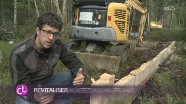 JU: l'étang de la Gruère, situé en réserve naturelle, est classé d'importance nationale