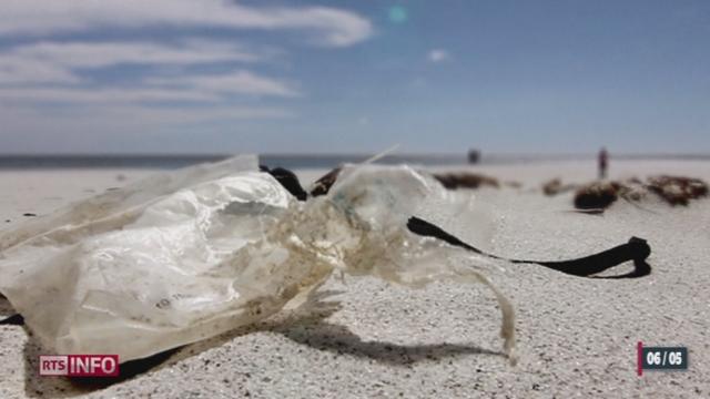 Pollution: un "continent de plastique" se forme dans le triangle des Bermudes