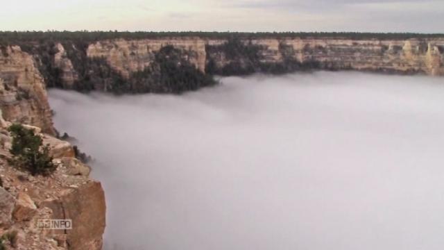 Images isolites du Grand Canyon sous une mer de nuage