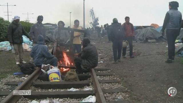 Immigration: près de 1300 clandestins sont à Calais