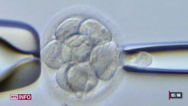 Le Parlement débat sur le choix du bon embryon lors d'une fécondation in vitro