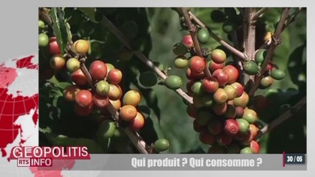 Geopolitis: le café est la première ressource agricole mondiale