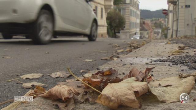 Les feuilles mortes qui tombent à la pelle avec l'automne sont un casse-tête pour les villes