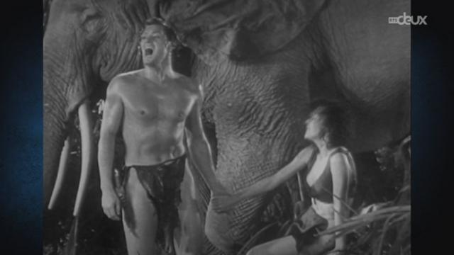 Remplacement de Tarzan pour cause d'extinction de voix!