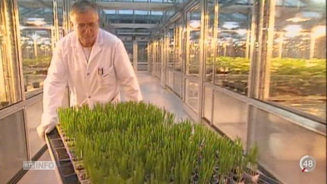 Le groupe agrochimique bâlois Syngenta va supprimer 500 postes à Bâle