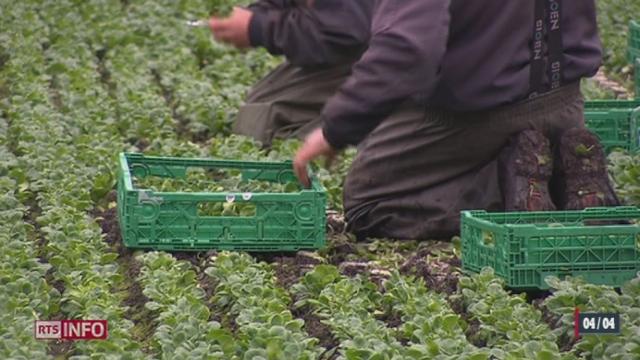 Libre-circulation: les politiciens s'inquiètent du sort d'une partie des migrants en Suisse