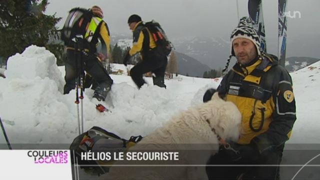 Les conducteurs de chiens d'avalanche sont en alerte face aux dangers d'avalanche