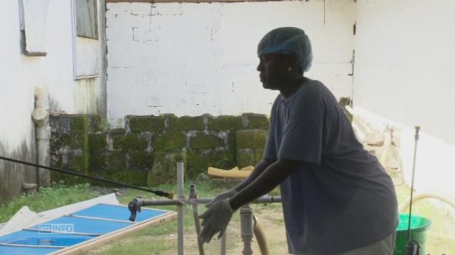 Le personnel soignant en première ligne face à Ebola