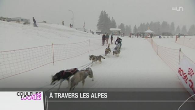 Des dizaines de chiens de traîneaux et leurs mushers participent à la TransAlp vaudoise