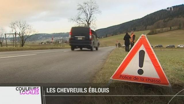 NE: le canton teste actuellement des réflecteurs anti-chevreuil aux bords des routes