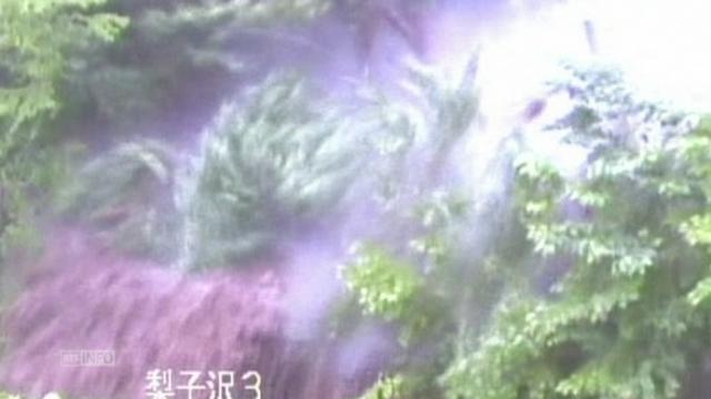 Le typhon Neoguri cause des glissements de terrain au Japon