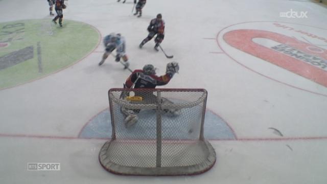Hockey - LNA (27e j.): Fribourg - Rapperswil (2-4)
