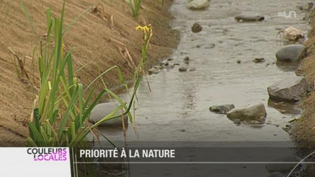 GE: la tendance est à la renaturation des cours d'eau