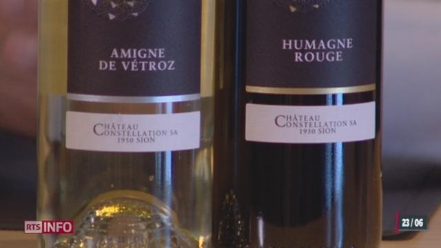 "Giroud Vins" se mue en "Château Constellation"