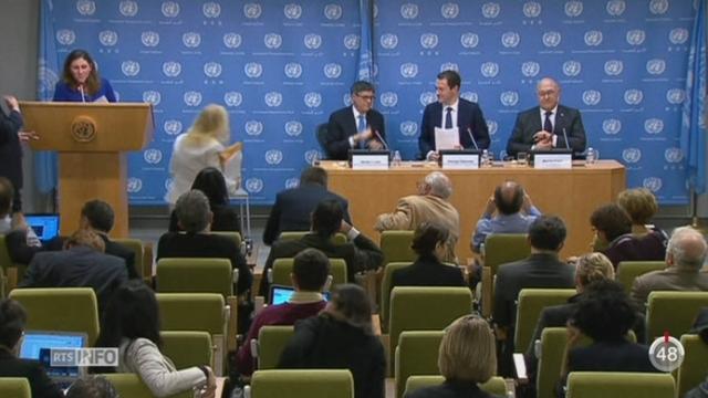 L'ONU veut affaiblir financièrement l'Etat islamique