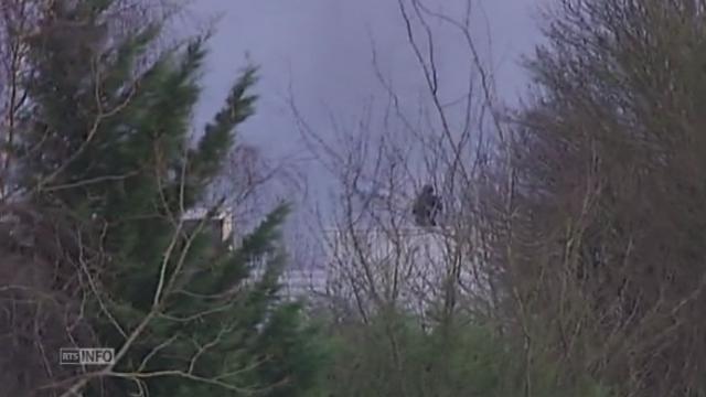 Le GIGN lance l'assaut à Dammartin-en-Goële