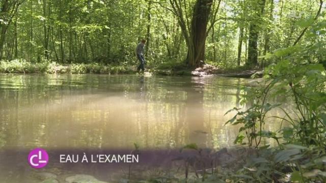 VD: un centre voué à la nature ouvre ses portes à Tolochenaz