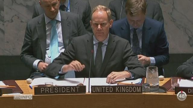 Le Conseil de sécurité de l'ONU autorise «toutes les mesures nécessaires» pour combattre l’EI