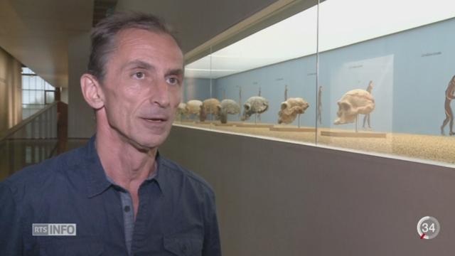 Homo Naledi: entretien avec l'anthropologue suisse Matthieu Honegger