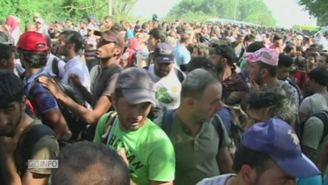 Tensions a la frontiere croate ou des milliers de migrants affluent