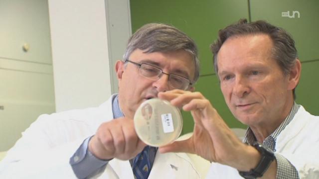 Les bactéries résistantes aux antibiotiques