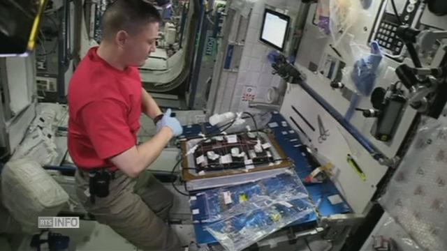 Une minute de silence observée à bord de l'ISS