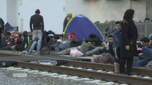 Pluieurs milliers de rfugies affluent vers la croatie