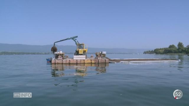 GE: les plantes du lac Léman peuvent être compostées