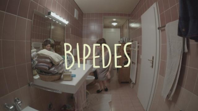 Bande de lancement - Bipèdes