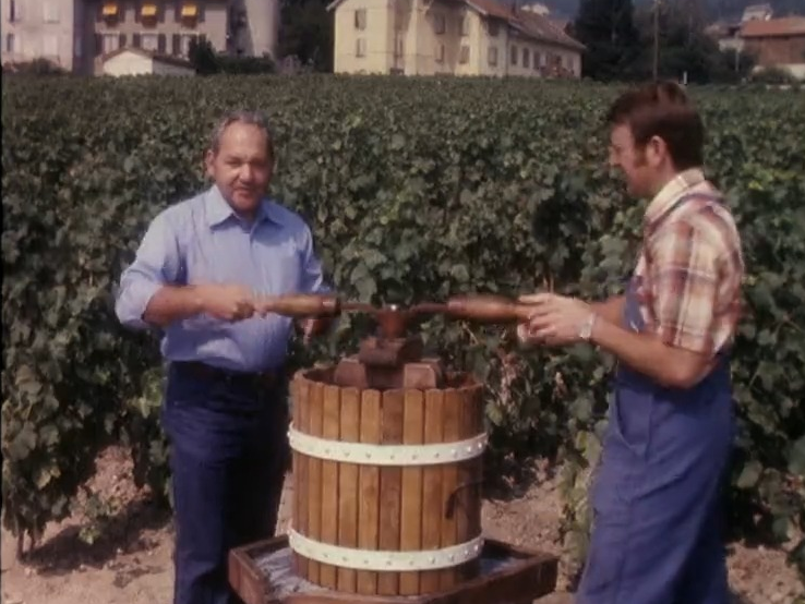 Première pressée à Mont-sur-Rolle