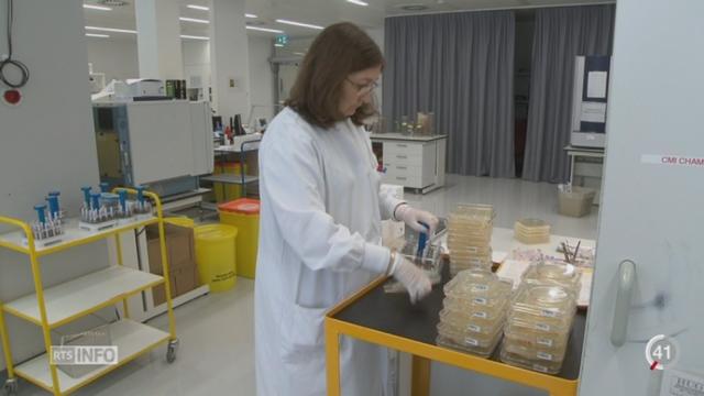 La Suisse cherche activement à contrer les microbes résistants aux antibiotiques