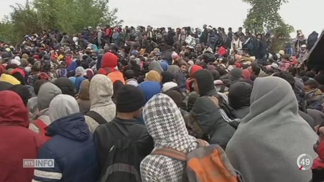 Migrants: les réfugiés se pressent sur la route des Balkans