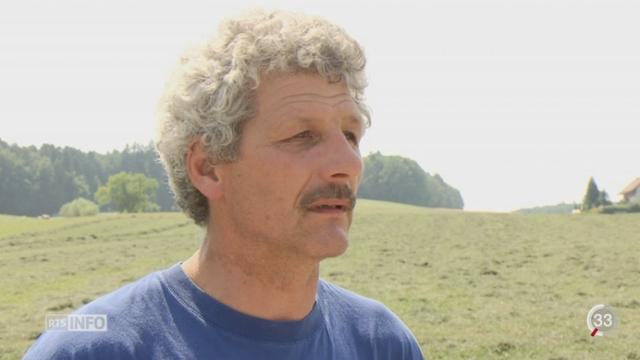 Canicule: les agriculteurs de la Broye (FR) font face à la sécheresse