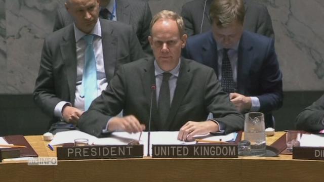 Le vote unanime du Conseil de sécurité contre l'EI
