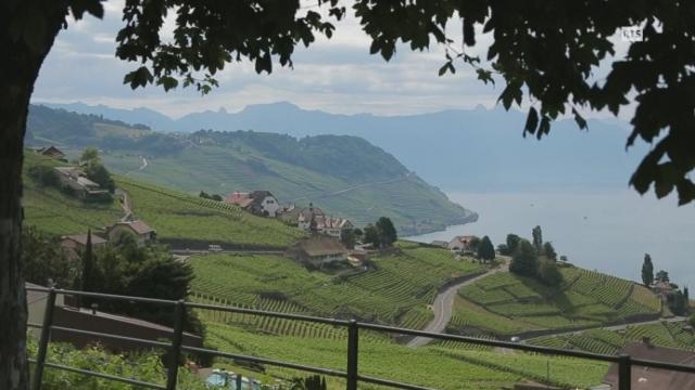 Au fil du Rhône - En croisière sur le Léman