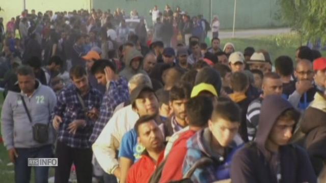 Migrants à la frontière entre la Serbie et la Croatie vendredi matin
