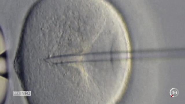 Des chercheurs français ont mis au point des spermatozoïdes fabriqués in vitro