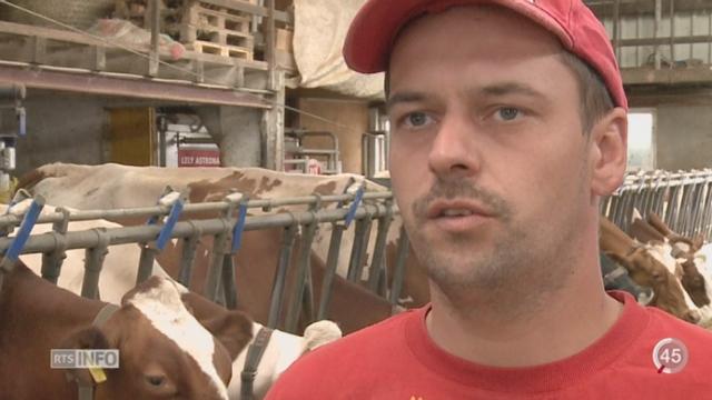 FR: les producteurs de lait sont en colère contre la baisse de prix du litre