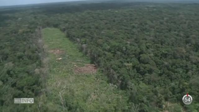 Brésil: un homme a été arrêté pour avoir commis les plus importantes destructions forestières