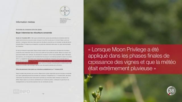 Bayer indemnisera les vignerons suisses victimes d'un fongicide