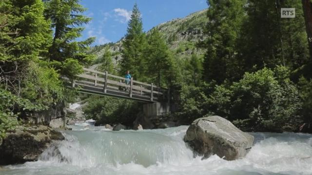 Au fil du Rhône - Le glacier du Rhône