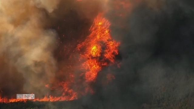 La Californie dévorée par les flammes